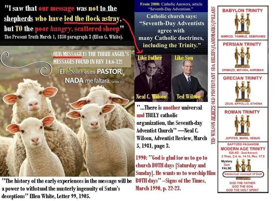 Exposing the 1904 501(c)(3) General Conference of Seventh-day Adventists as Babylon: Stolen Identity, stole the name Seventh day Adventist from the early Protestant Pioneer Protestant SDA Church, Catholic Trinity Doctrine Adopted, Apostate Leadership Rebuked by Ellen G. White and James White, Ted and Neal C. Wilson Quotes Reveal Fraud, The Third Angel’s Message Warns Laodicean Members to Come Out – Voice of the 144000 Movement Declares Final Call to Return to the 1841–1850 Original Seventh-day Adventist Faith